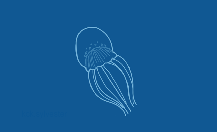 jellyfish moving clipart - photo #43